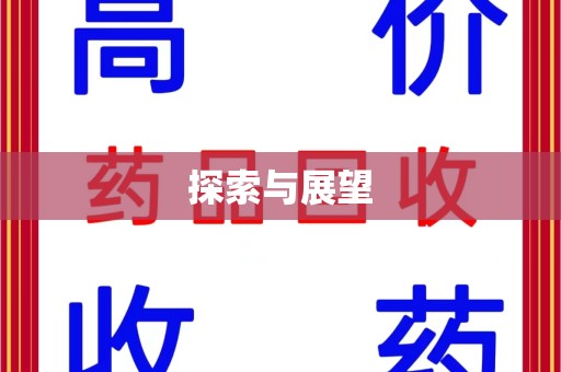 芜湖探索与展望