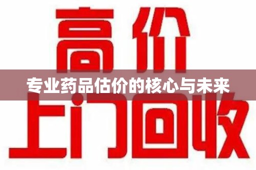 芜湖专业药品估价的核心与未来