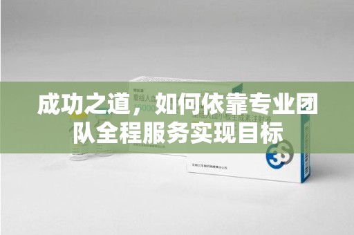 芜湖成功之道，如何依靠专业团队全程服务实现目标