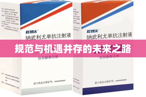 芜湖规范与机遇并存的未来之路