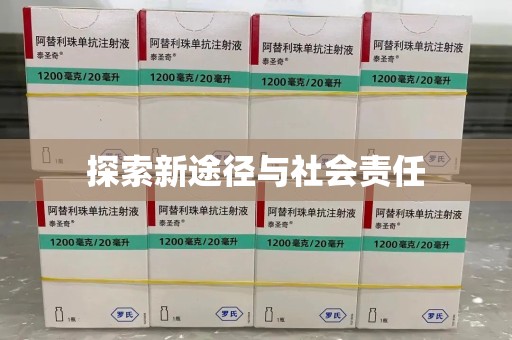 芜湖探索新途径与社会责任
