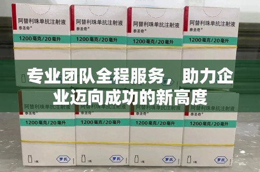 芜湖专业团队全程服务，助力企业迈向成功的新高度