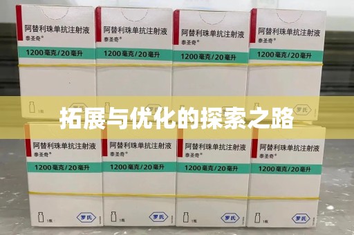 芜湖拓展与优化的探索之路
