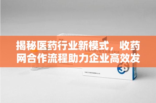 芜湖揭秘医药行业新模式，收药网合作流程助力企业高效发展